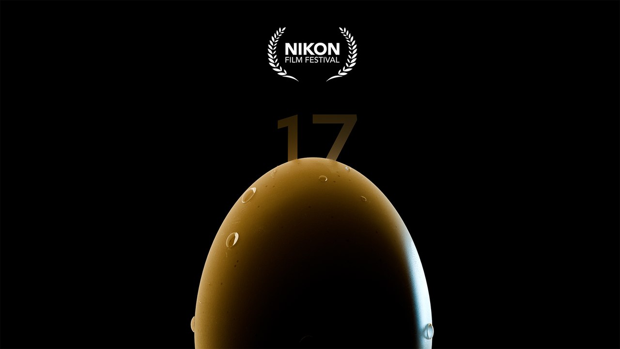 Nikon Film Festival 17th edition | NEW THEME
