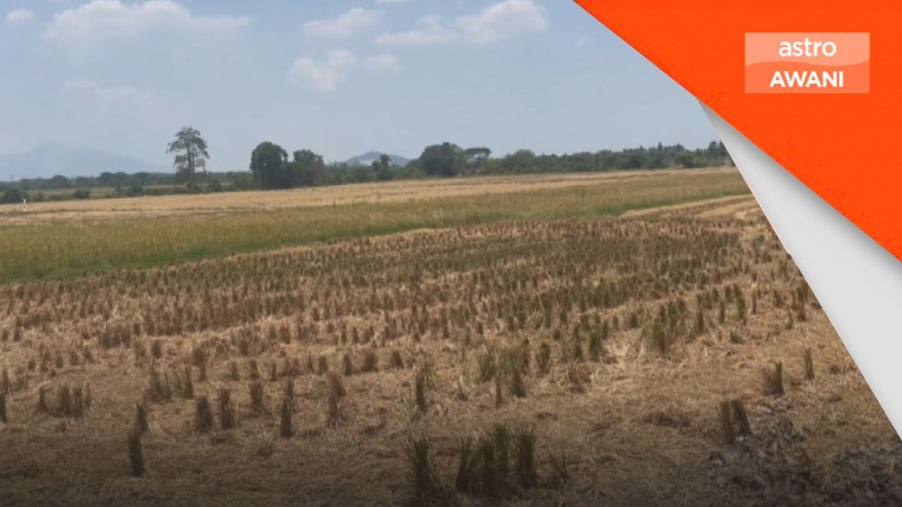 Kelantan berdepan risiko kebakaran lebih tinggi susulan Super El Nino