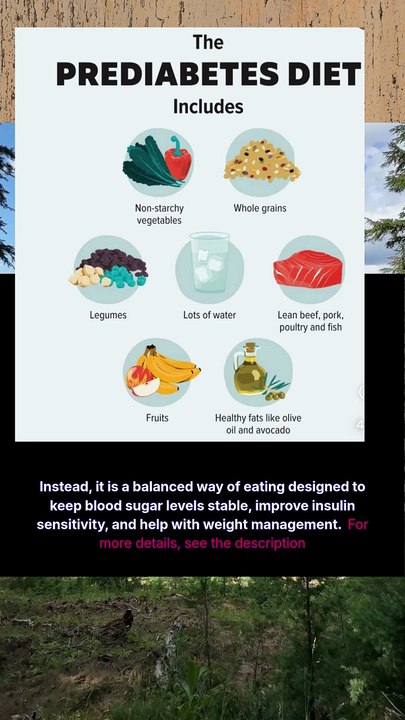 the prediabetes diet includes