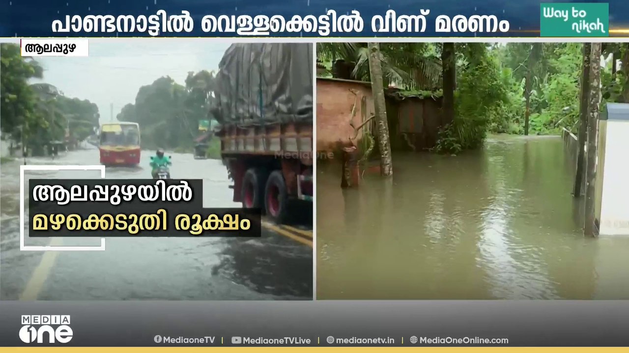 വാഹനം പരിശോധിക്കാൻ പോയി; പാണ്ടനാട്ടിൽ വെള്ളക്കെട്ടിൽ വീണ് ഒരാൾ മരിച്ചു