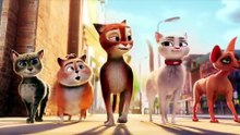 Özgür Kedi Scotty