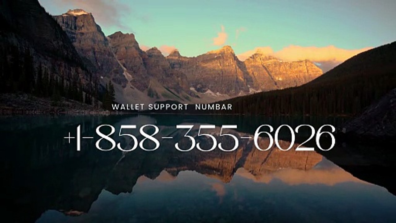 How do I contact Coinbase support?