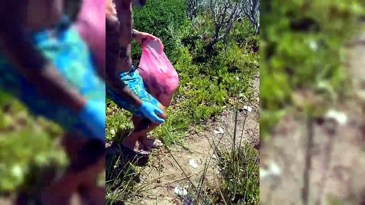 Porto Ferro scambiata per un bagno: decine di fazzoletti abbandonati tra i ginepri - La denuncia