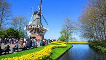 Keukenhof Gardens Spring Tour FULL HD: Holland's Magical Flower Paradise Unveiled