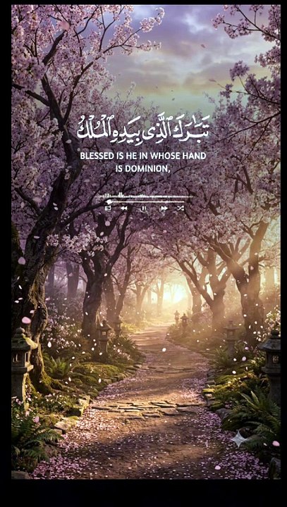 Islam s power
