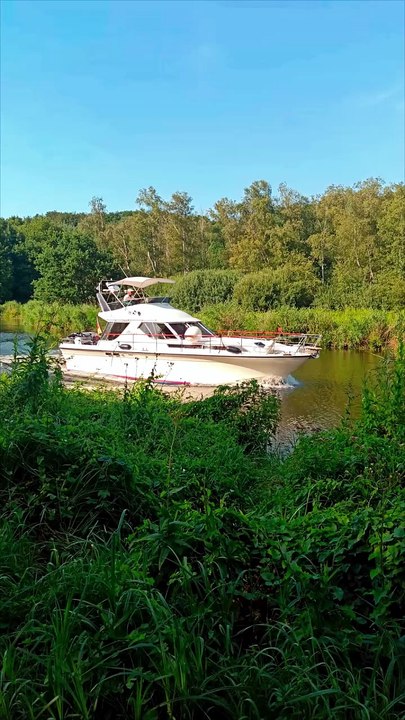 Traumhafte Radtour am Elbe-Lübeck-Kanal: Donnerschleuse Lankau 🚲🌿