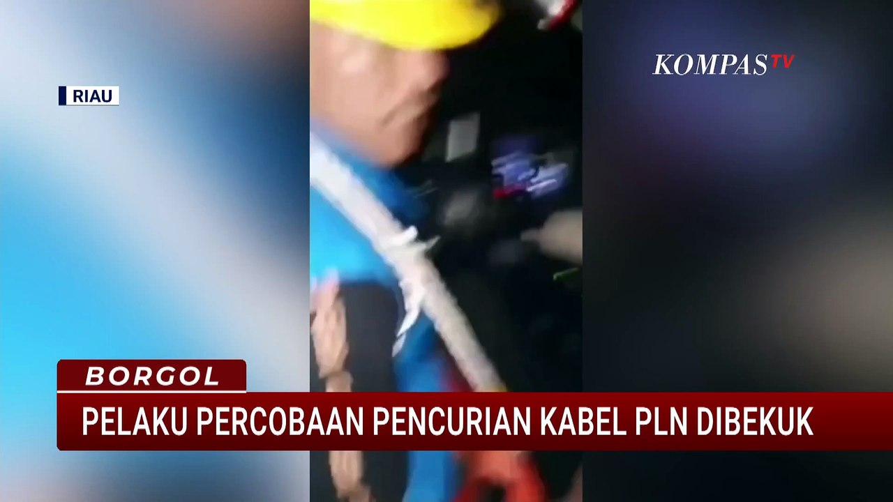 Polisi Tangkap 2 Pencuri Kabel Listrik yang Menyamar Jadi Petugas PLN di Siak Riau| BORGOL