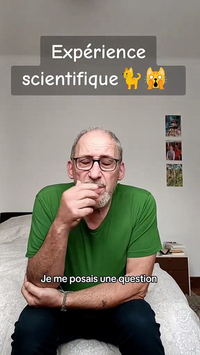Expérience scientifique 🐈