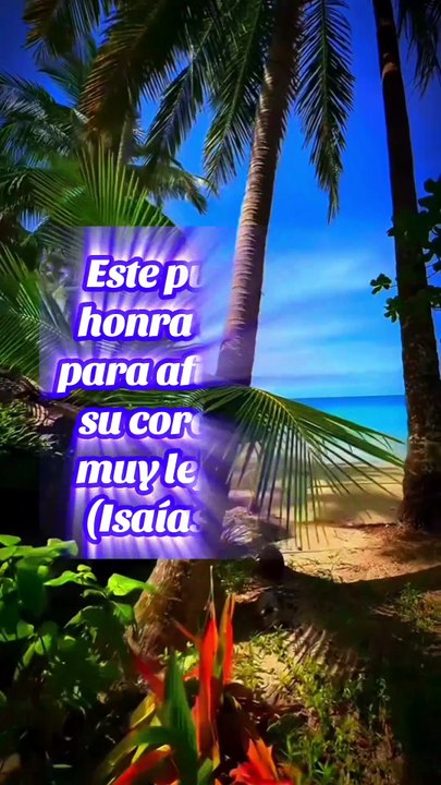 Reflexiones Bíblicas