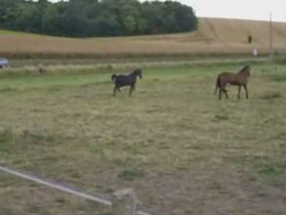 1ere rencontre