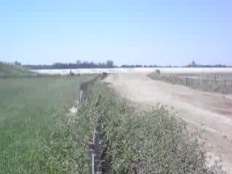 DSCN0298