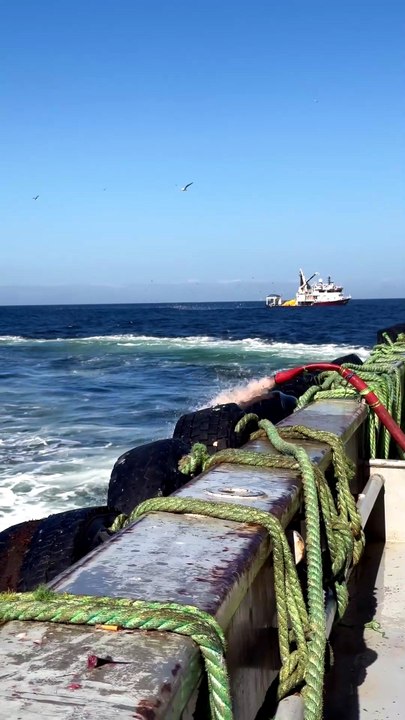🌻Nature , Ocean and Fishing fishing life