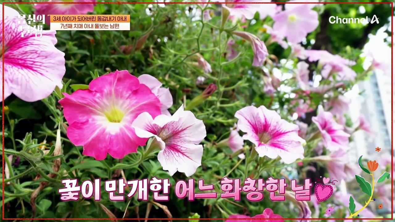 어린아이가 된 아내의 간병은 남편이 도맡아 한다?! 치매 환자를 돌보는 가족 이야기