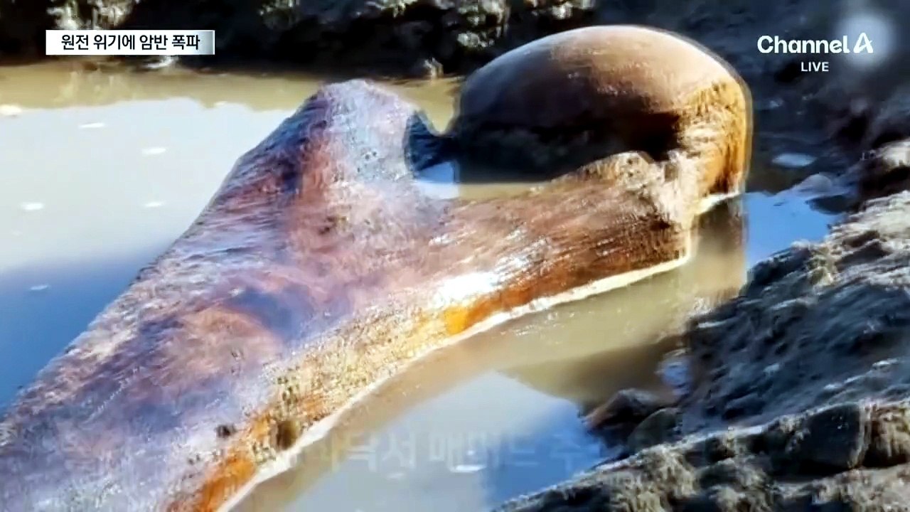 가뭄에 원전 냉각수도 비상…다뉴브 강 암반 폭파