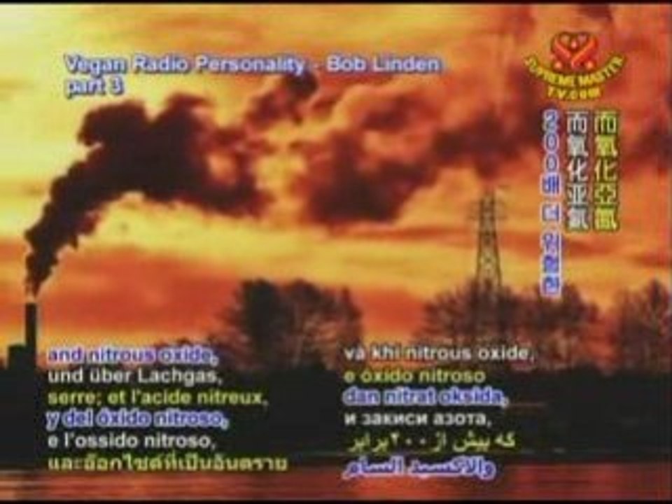 Vegan Radio Personality - Bob Linden - Part 3