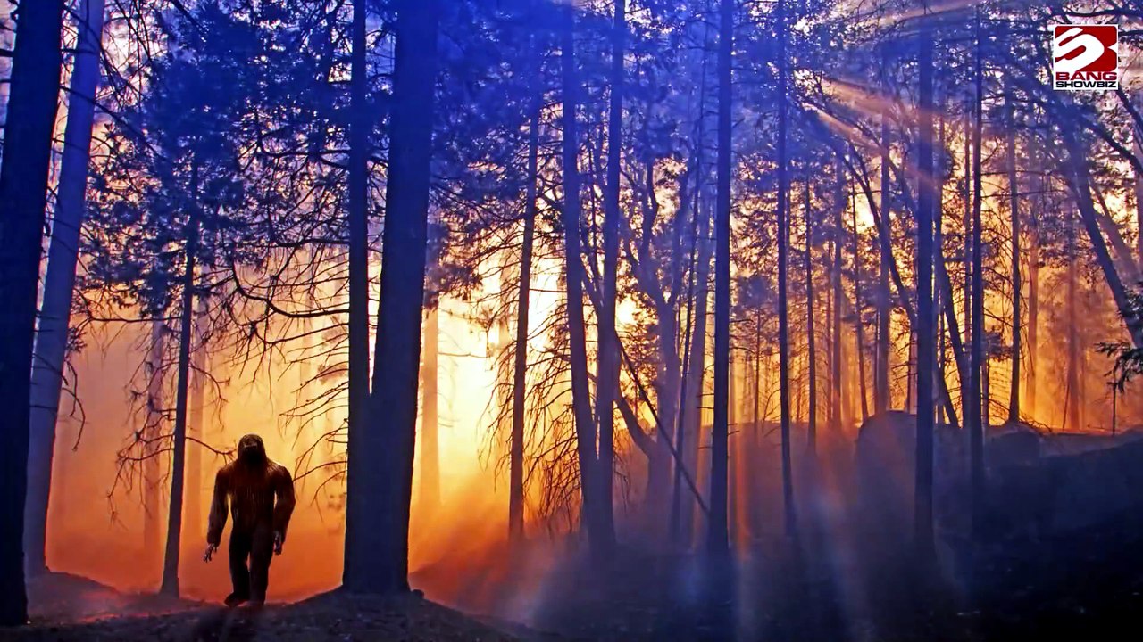 Jäger entdeckt Bigfoot, der sich 'wie ein Mensch' bewegt, in Ohio
