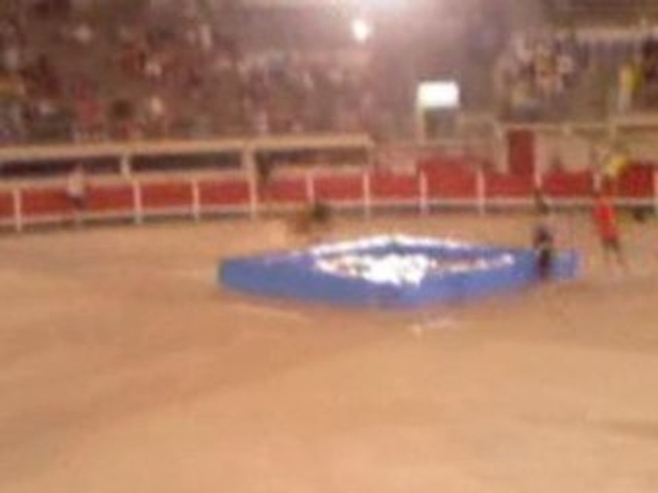 toro 4