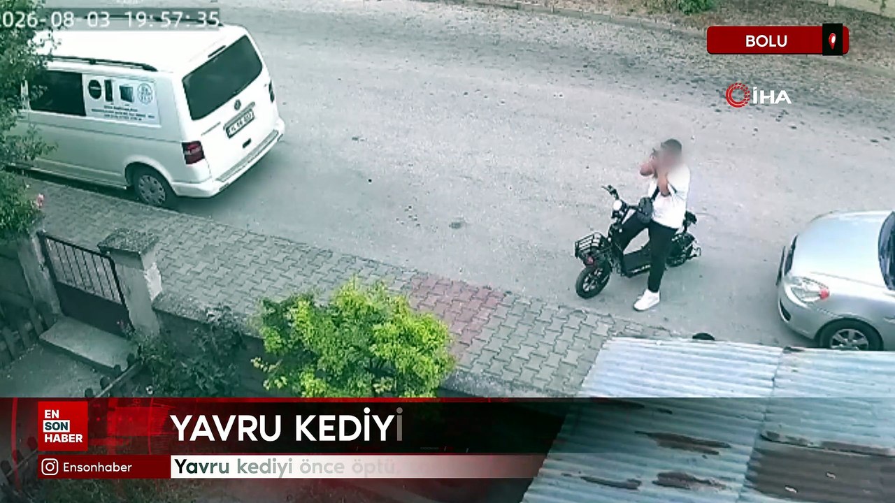 Bolu'da yavru kediyi önce öptü, sonra boğdu