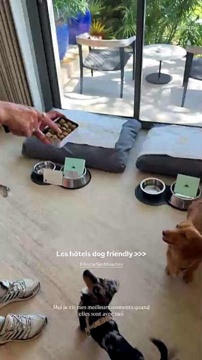 Iris Mittenaere avec ses chiens Mia et Cali aux...