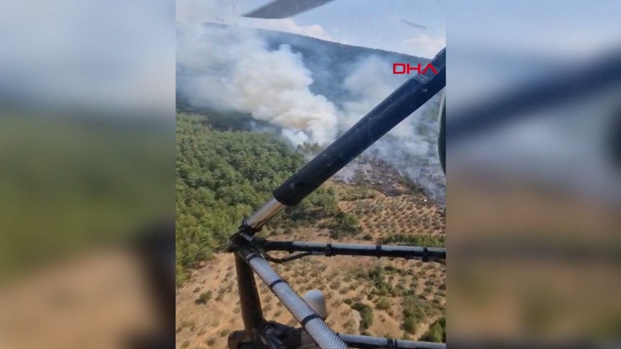 Muğla'da orman yangını