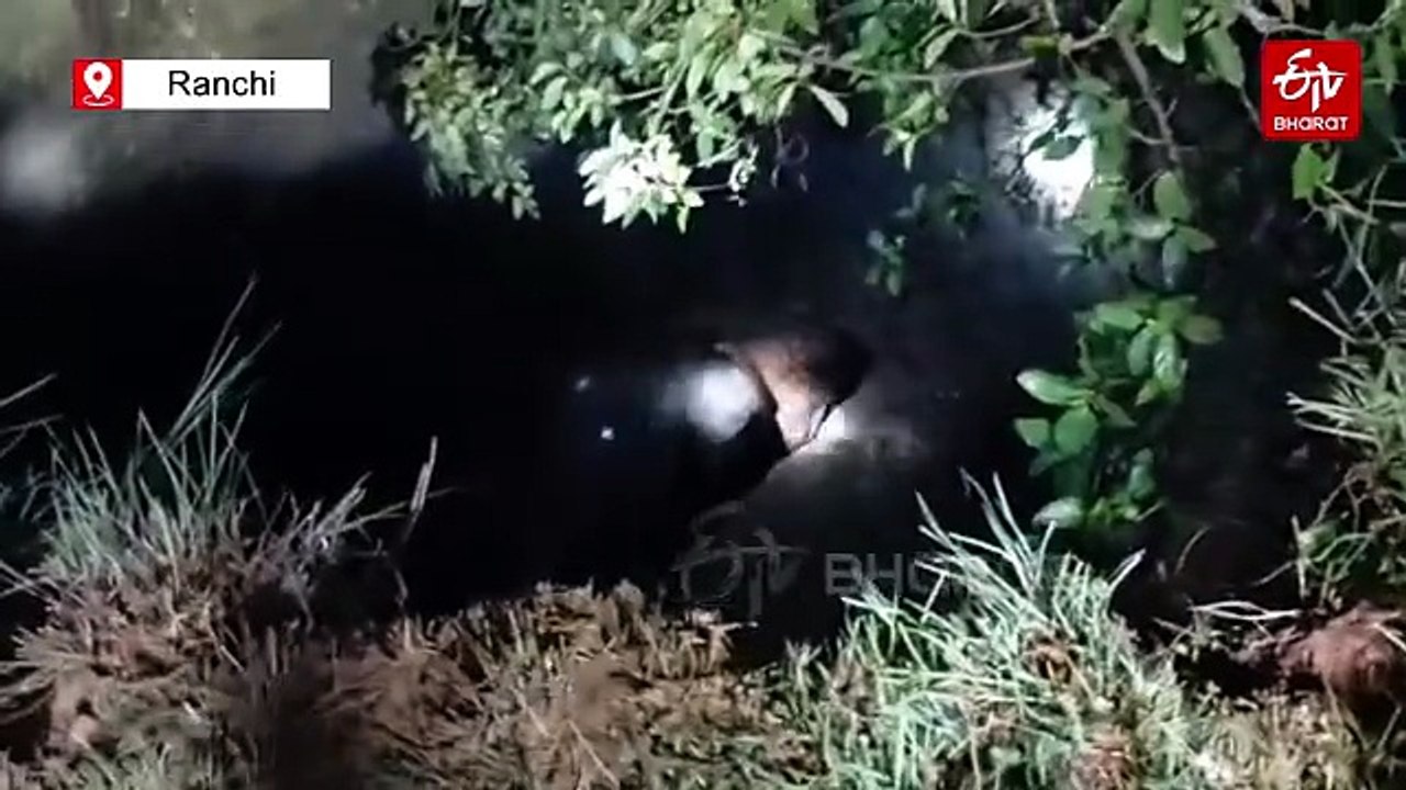 Wild Elephant Rescued From Open Well In Ranchi After 3-Hour Joint Operation