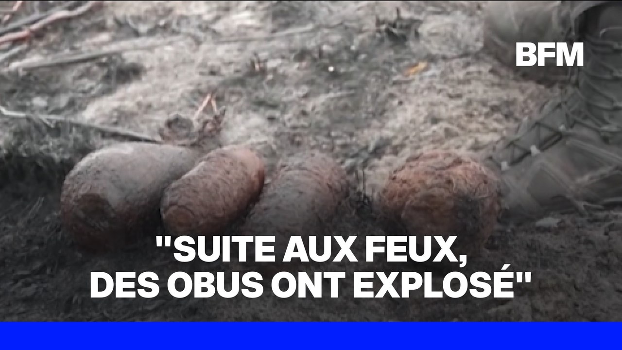 Incendie en Gironde: des obus de la Seconde Gue...