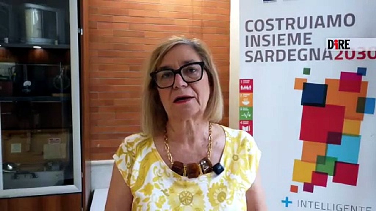 Incendi in Sardegna, l'assessora: "Atti di terrorismo"