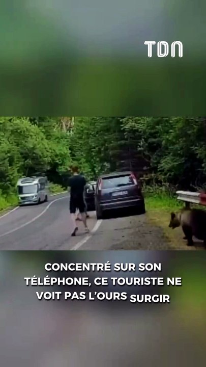Concentré sur son téléphone, ce touriste ne voit pas l’ours surgir juste derrière lui
