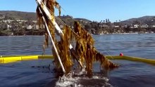 ¿Cómo logran los buzos sacar un barco hundido? 😱⚓