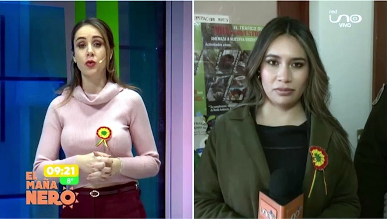 RESCATARON UN QUIRQUINCHO