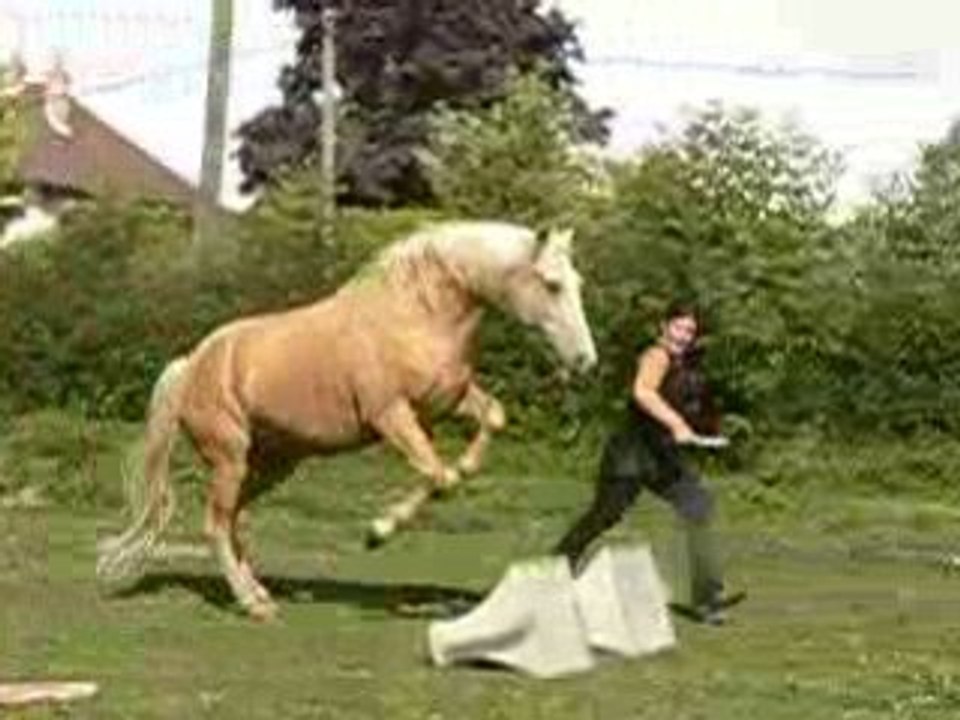 Saut en me suivant