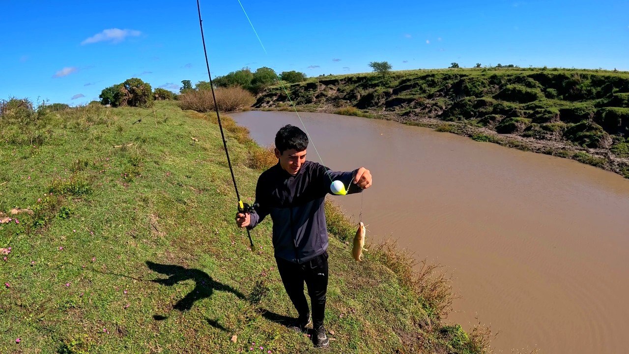 PESCA de BAGRES en ARROYO, pescar y cocinar, pescado asado, pesca con caña y boya, pesca de barrio