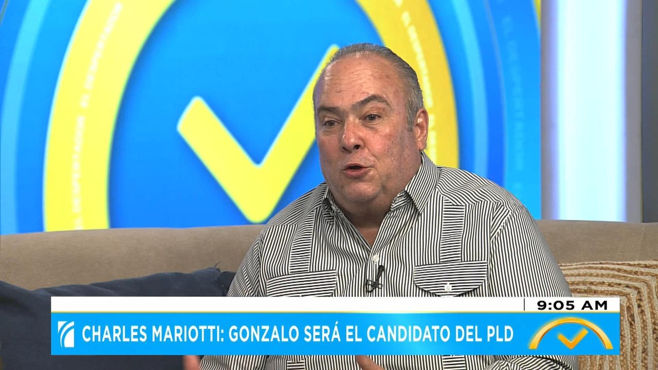 "El candidato presidencial del PLD es Gonzalo Castillo", asegura Charlie Mariotti | El Despertador