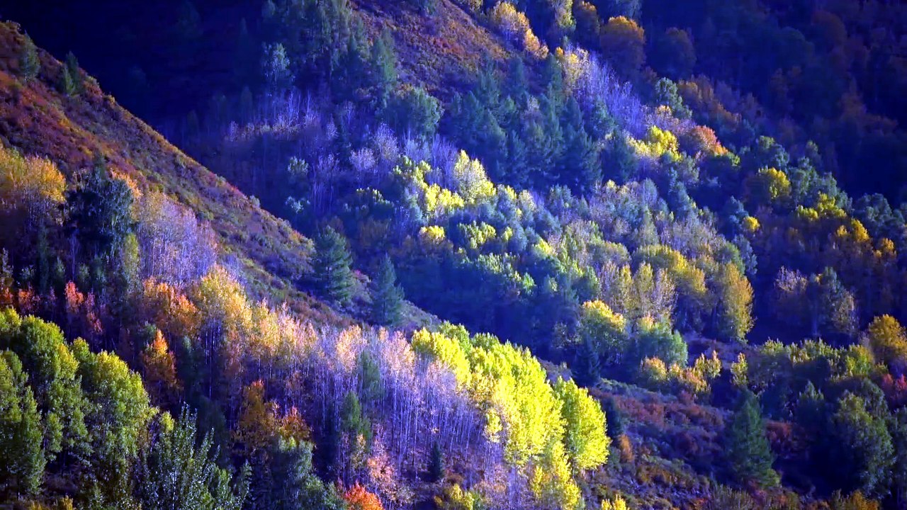 Historias de supervivencia, tradiciones y medicina ancestral en Altai, CHINA