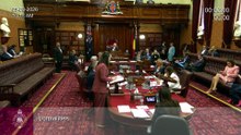 Amanda Cohn tables the Mater inquiry report in NSW Parliament.