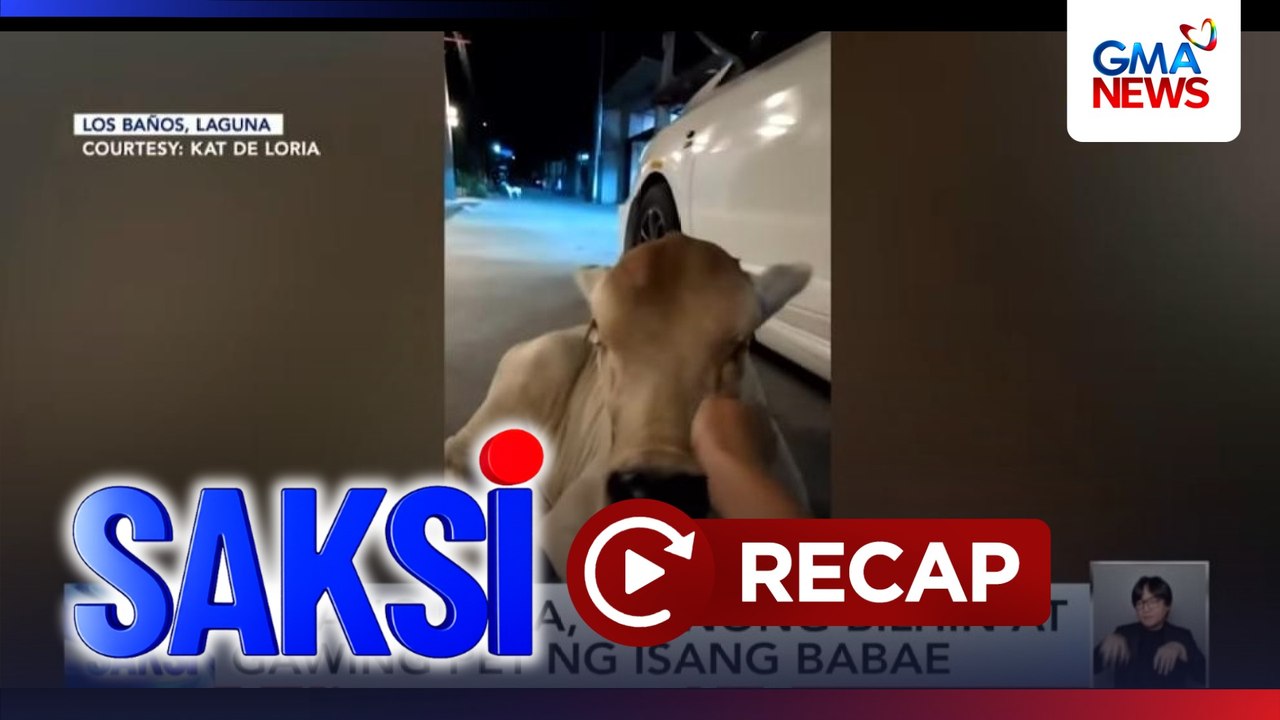 Saksi: (Part 3) Bagong side ni Barbie Forteza sa pelikulang "Saving Cherry"; Baka, gustong gawing alaga