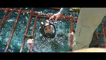 47 Meters Down