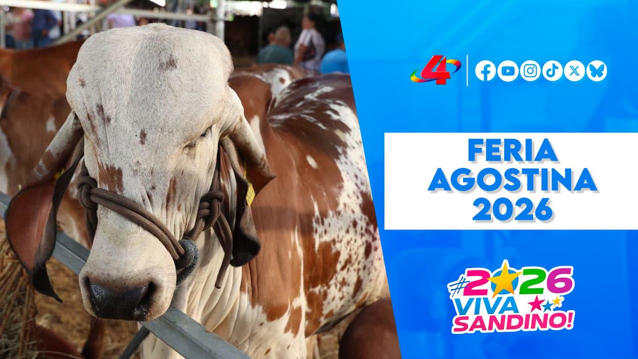 Feria Agostina Internacional 2026: El impulso clave del sector ganadero en Nicaragua 🐄📈