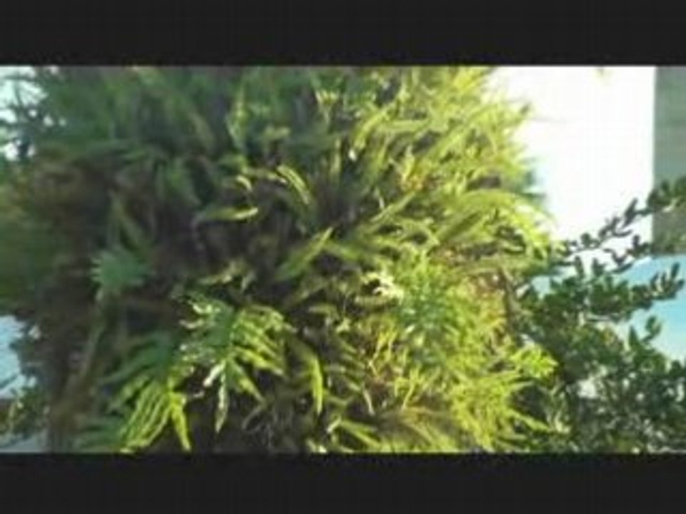 Jourmagic2 1