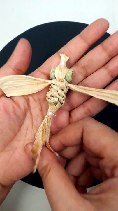 Nature's Waste, My Art: Corn Husk Dragonfly DIY