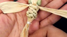 Nature's Waste, My Art: Corn Husk Dragonfly DIY