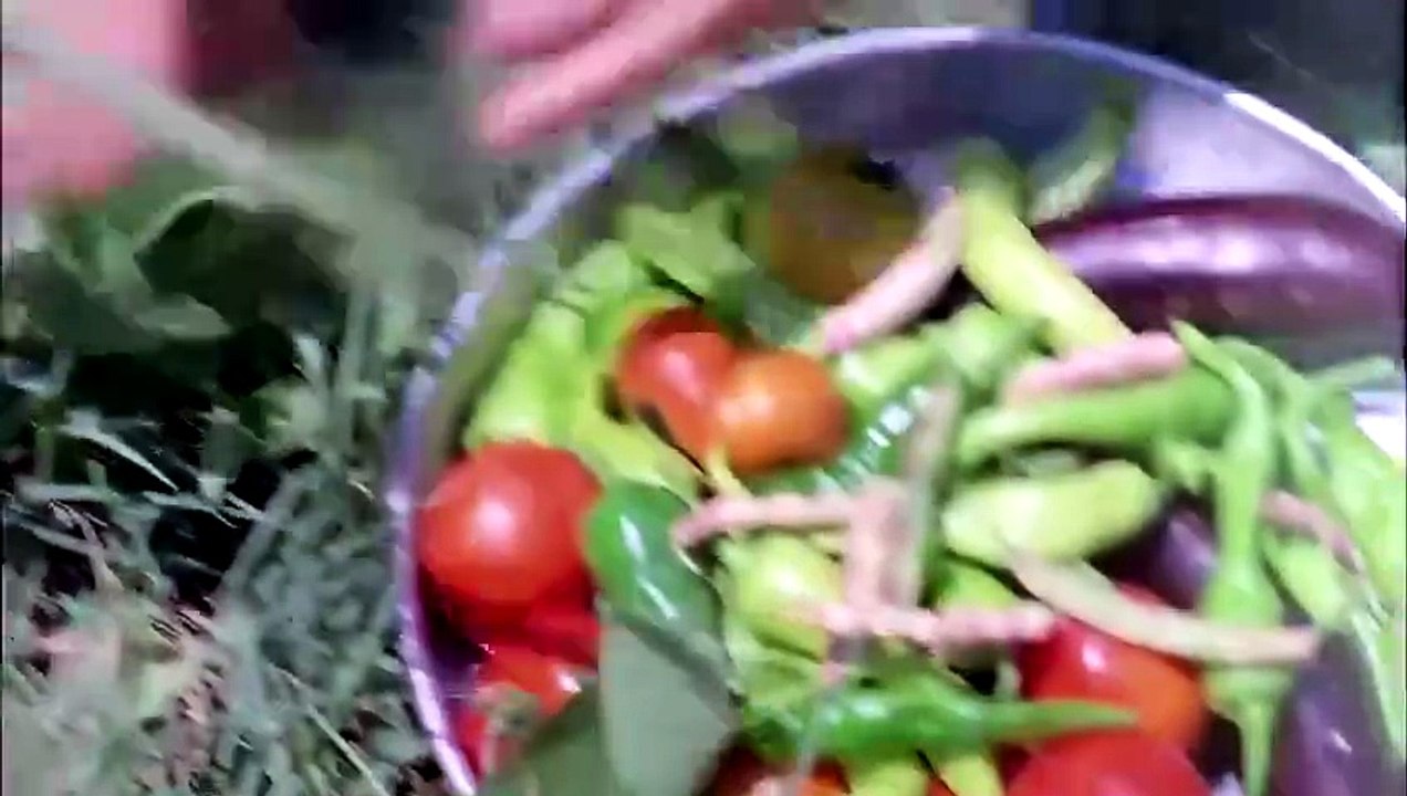 1985 Kurbağalar HÜLYA KOÇYİĞİT  TALAT BULUT Tür...