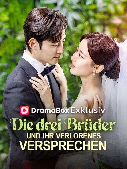 Die drei Brüder und ihr verlorenes Versprechen(Deutsch Synchronisiert) | Das Minidrama | Delust Language