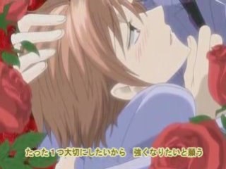 Ouran High School Host Club Hitachiin Brother