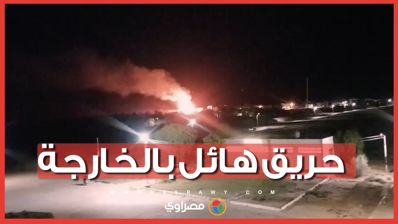 حريق يلتهم مزارع نخيل بالخارجة وقرار بفصل الكهرباء عن الأحياء المجاورة