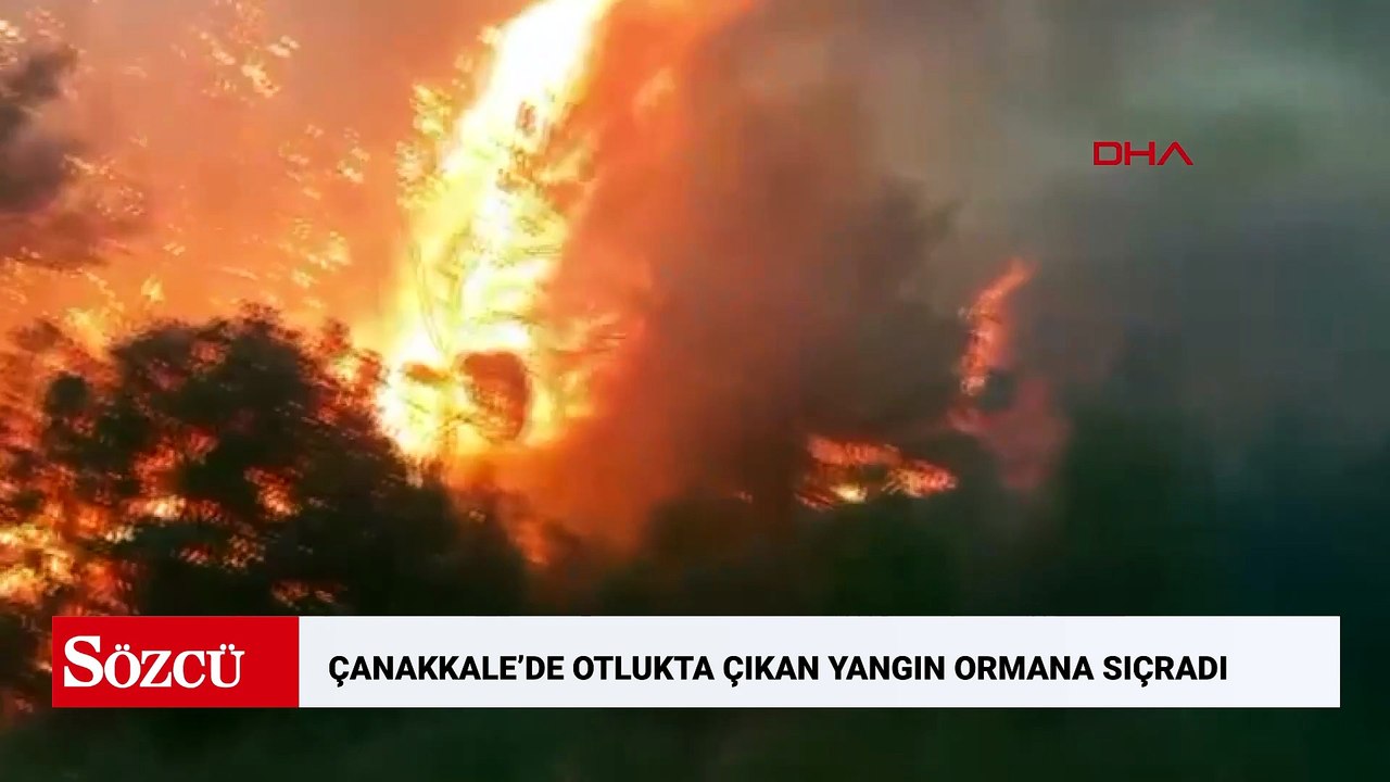 Çanakkale’de otlukta çıkan yangın ormana sıçradı