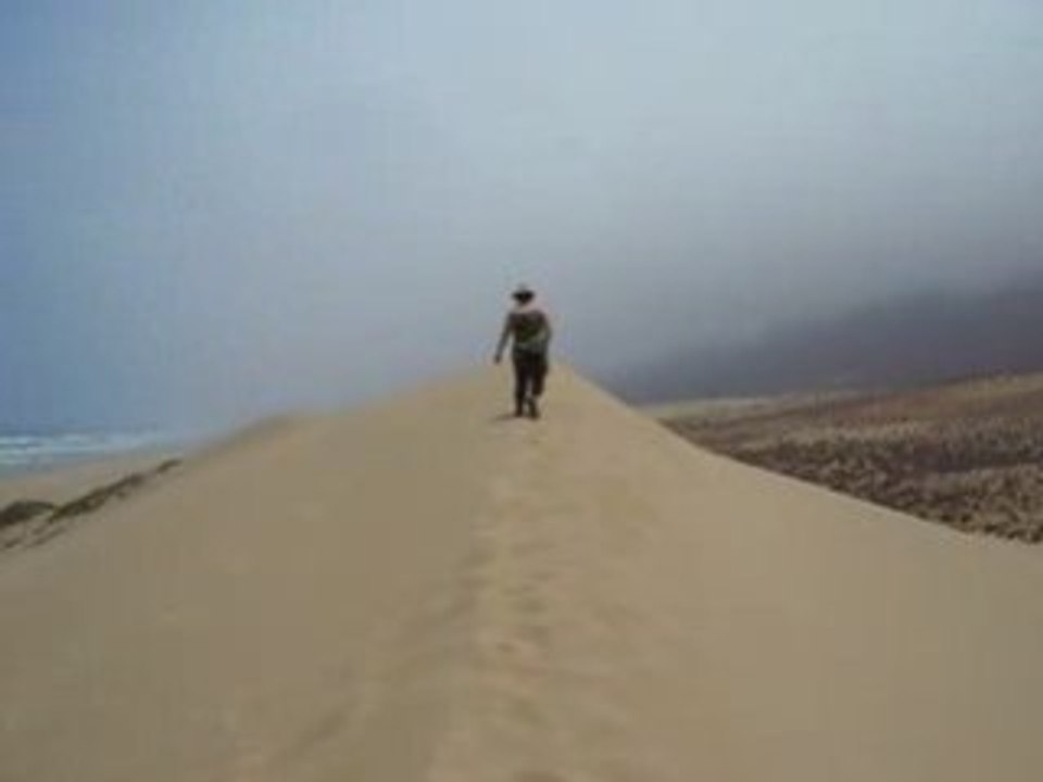 Dunes de Mirleft