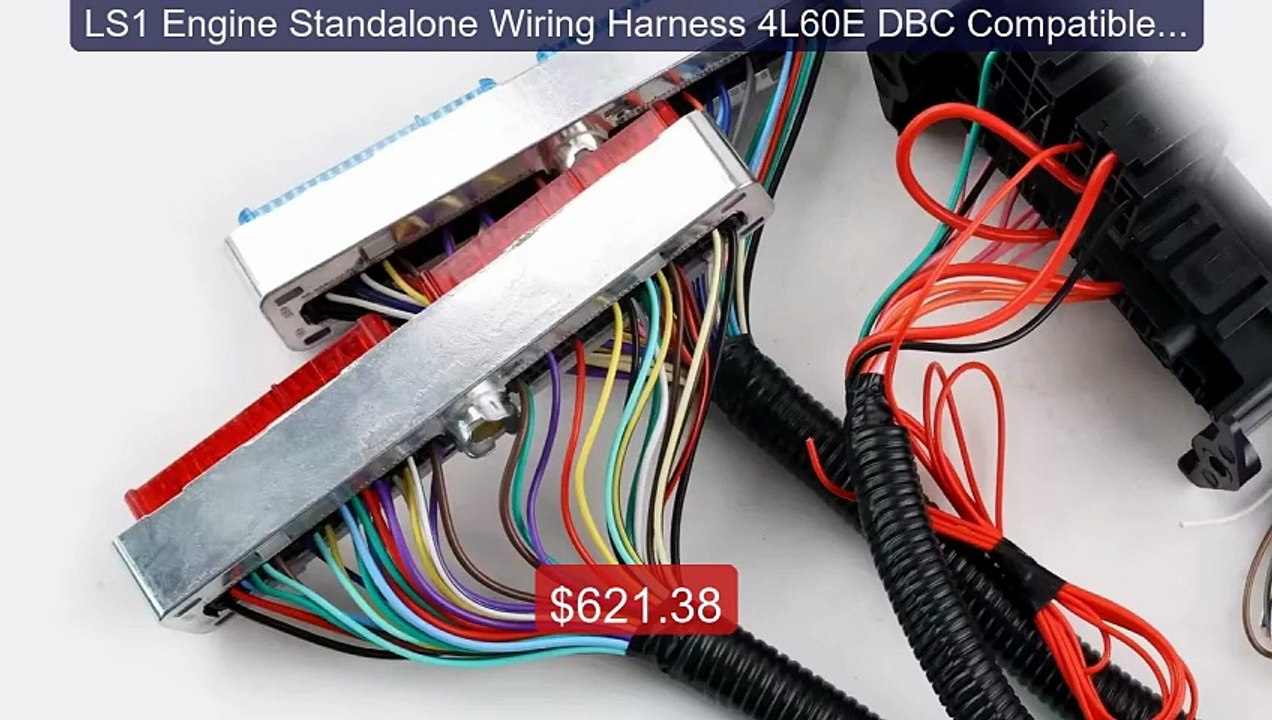 LS1 Engine Standalone Wiring Harness 4L60E DBC Compatible wit... -- Amazing Value 2026 | Must Have!