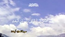 يا ايها الناس ان كنتم في ريب من البعث