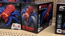 Wall-Climbing Spider Cat Toy – Remote Control RC Spider for Cats | Interactive Wall Climber Pet Toy